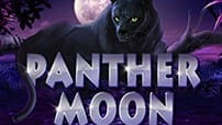 Игровой аппарат Panther Moon